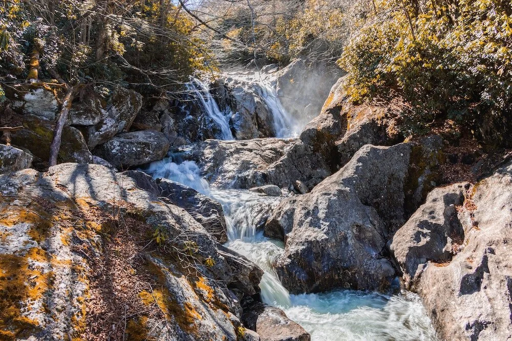 Photo by Bradley Allweil on Unsplash