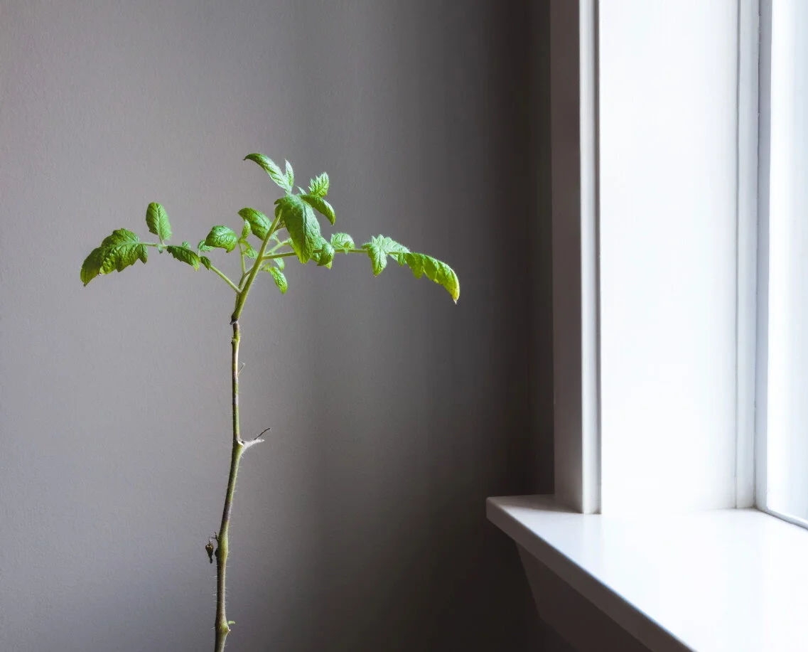 Photo by Greg Rosenke on Unsplash