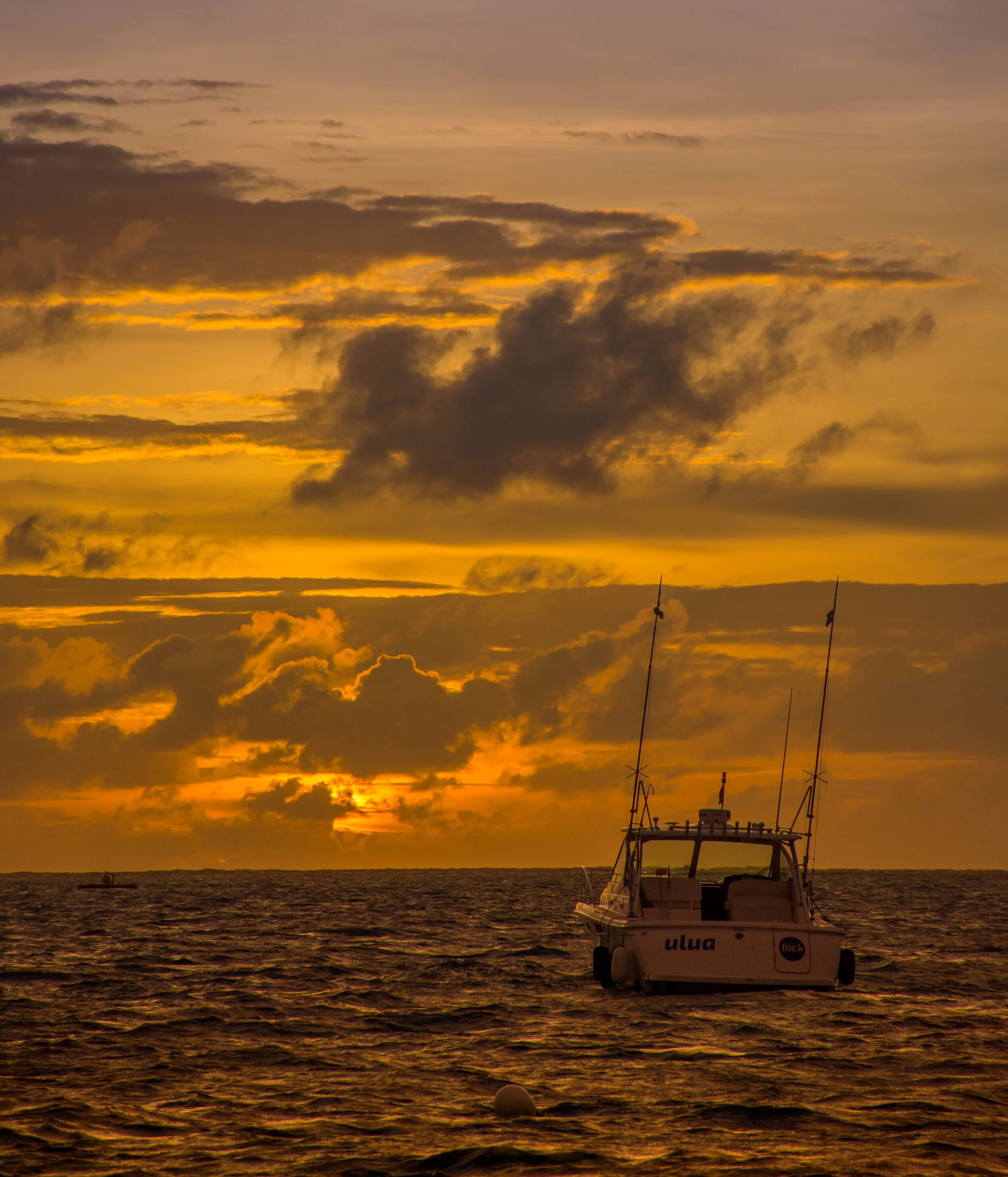 Photo credit Moosa Haleem on Unsplash