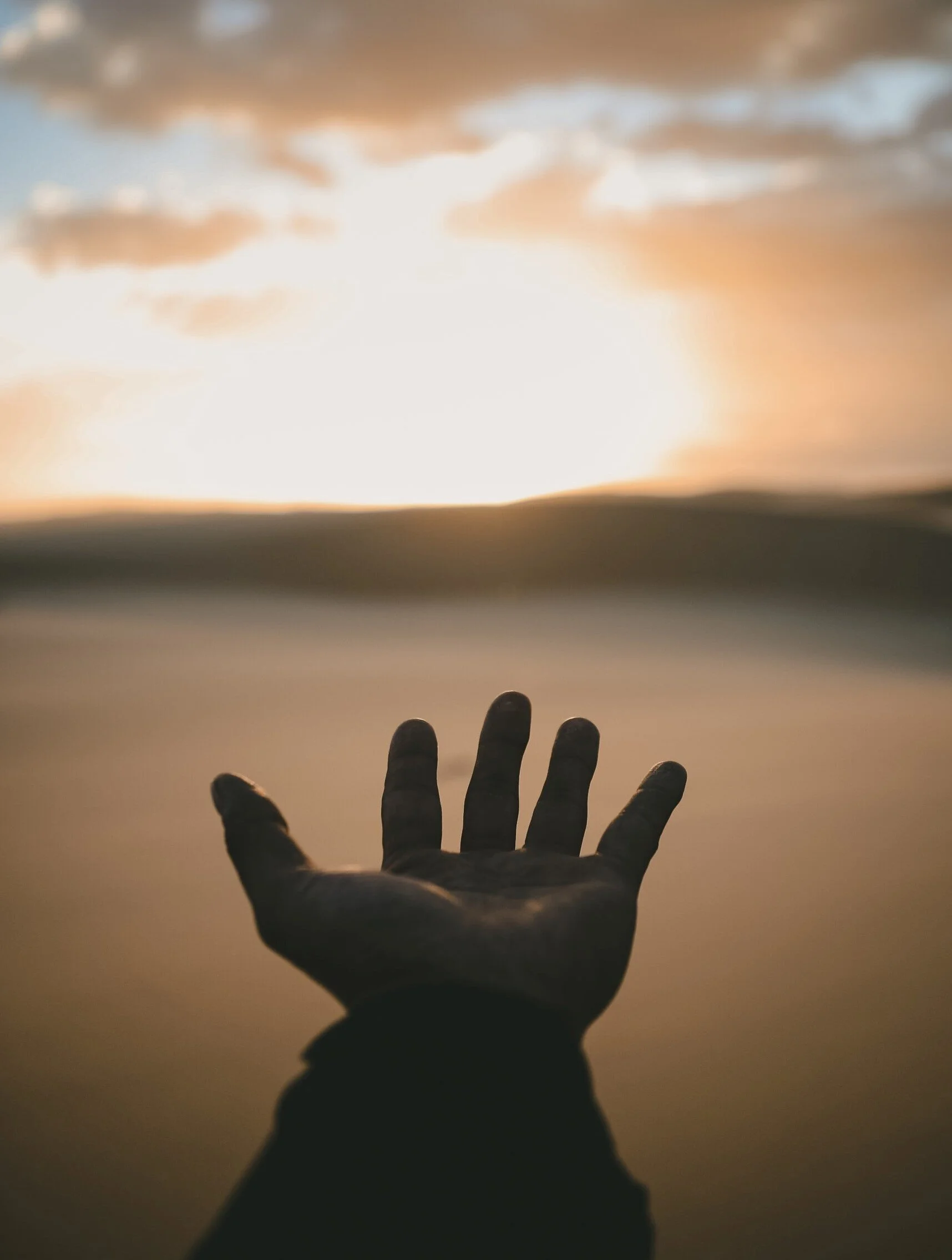 Photo credit Billy Pasco on Unsplash