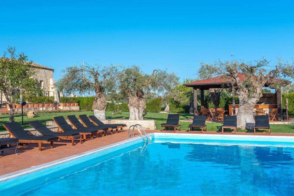 The swimming pool and sun loungers among olive trees
