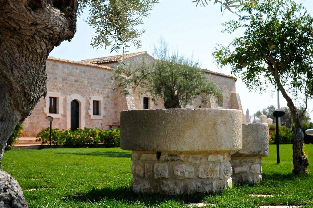 An ancient olive tree and stone millstone in the gardens